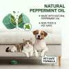🌿Natural Peppermint Rodent Repellent Balls (12 Pack) 🚫Keep Rats, Mice & Pests Away Safely✅